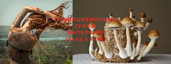 мяу мяу мука Армянск